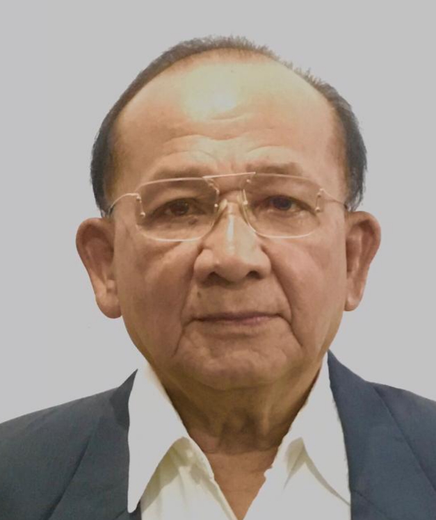 Wilfried Pasaribu