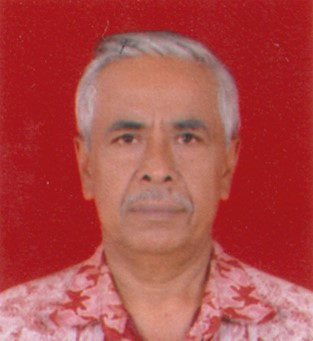 Ganal Pasaribu